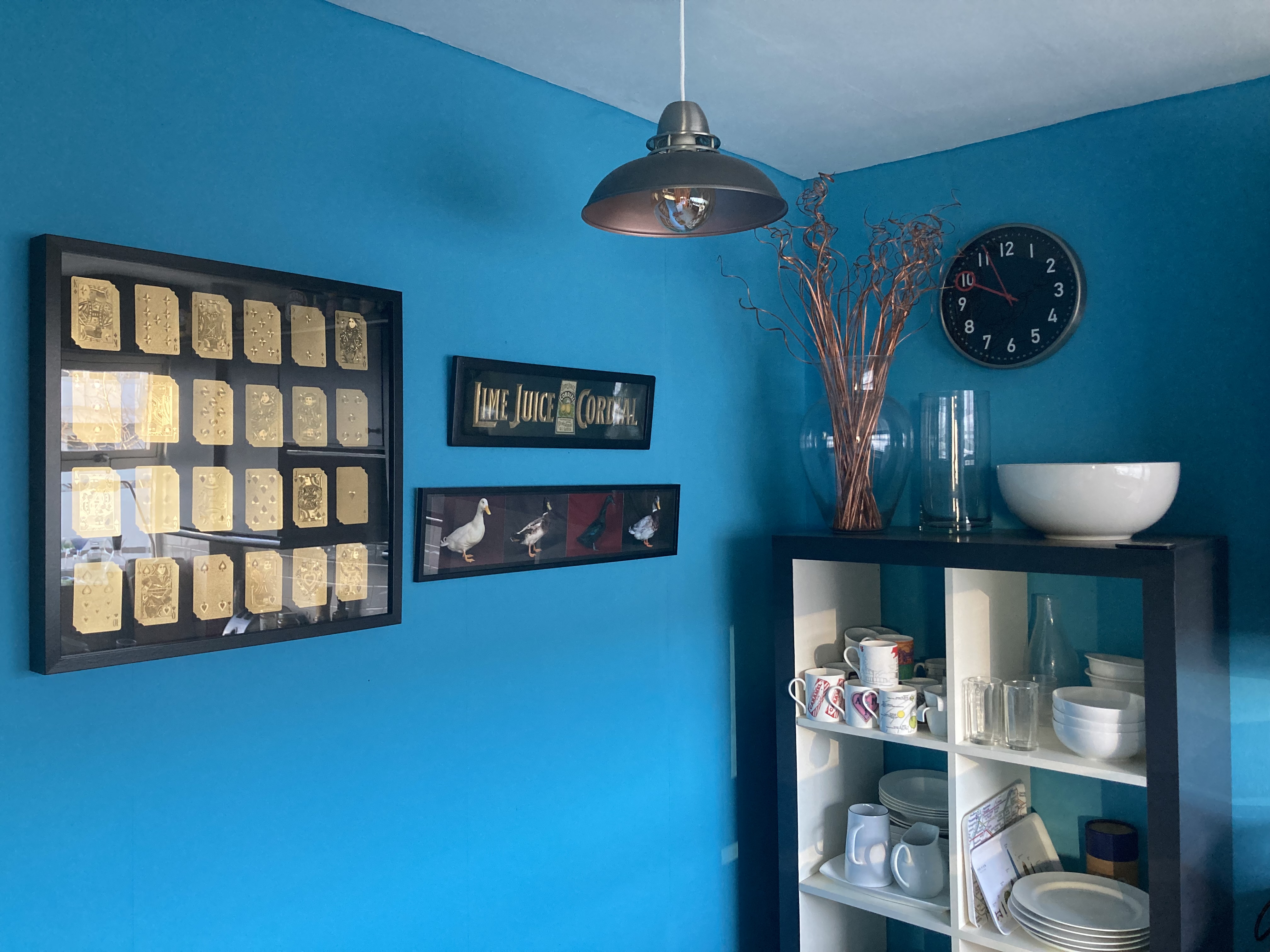 Let me sort <br />your insides out